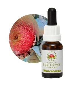 Macrocarpa, 15 ml